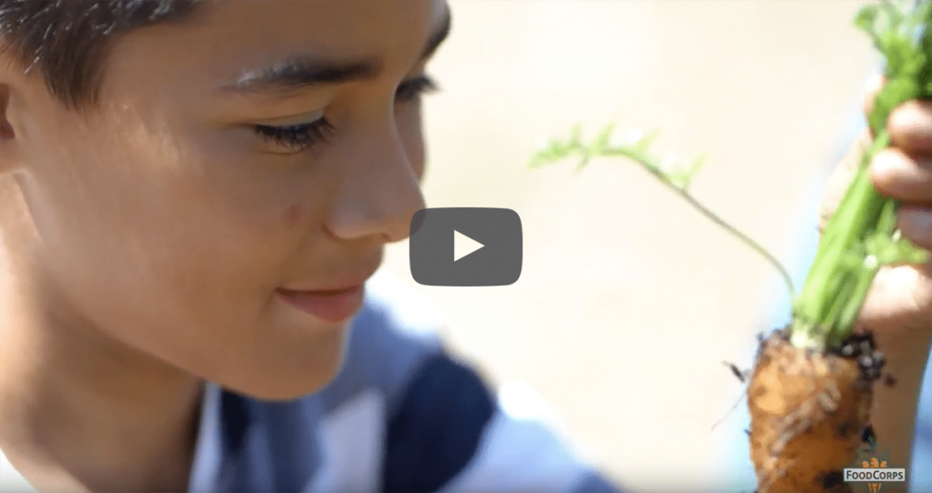 Video: An Inside Look at Service in Schools
