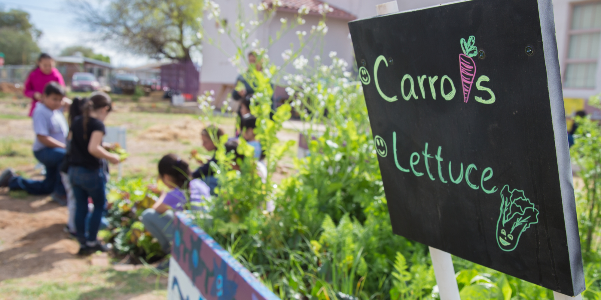 A black chalkboard sign points to carrots and lettuce in a lush school garden. Kids gather around a garden bed in the background.